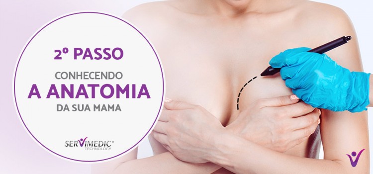 2º Passo Conhecendo a anatomia da sua mama